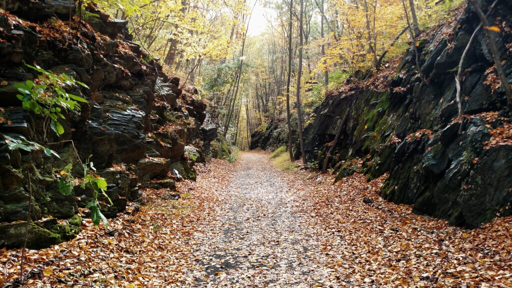 Regression Hypnosis​